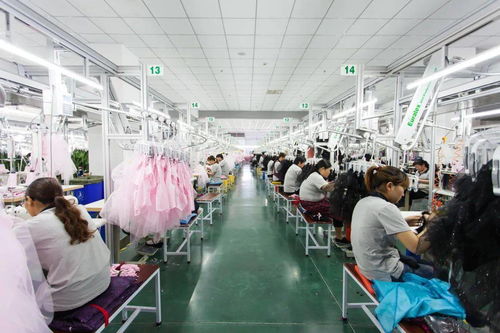 堅(jiān)持科技創(chuàng)新，引領(lǐng)會(huì)員企業(yè)高質(zhì)量發(fā)展取得新成果——聚焦科技技術(shù)開發(fā)